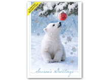 Beary Amused Holiday Cards