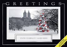 Central Park Joy Holiday Cards