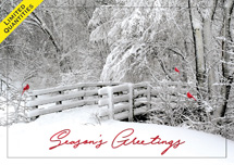 Fresh Air Holiday Cards