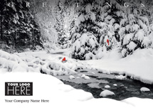 Creekside Cardinals Holiday Logo Cards
